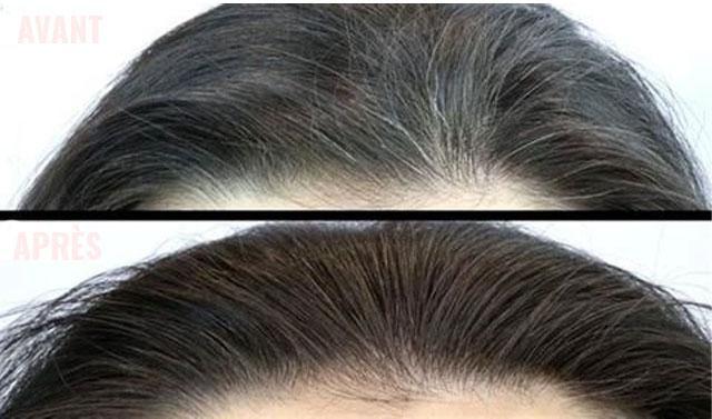 Couvre Cheveux Blancs | Retouche Racines | Stylo aux Herbes naturelles