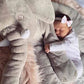 Peluche Éléphant Pour Bébé | Coussin Éléphant